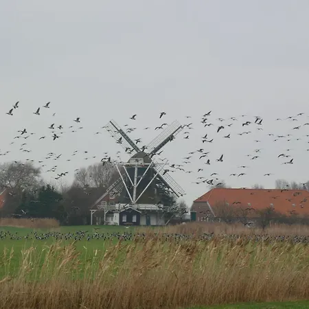 Duenenlounge Dornumersiel *